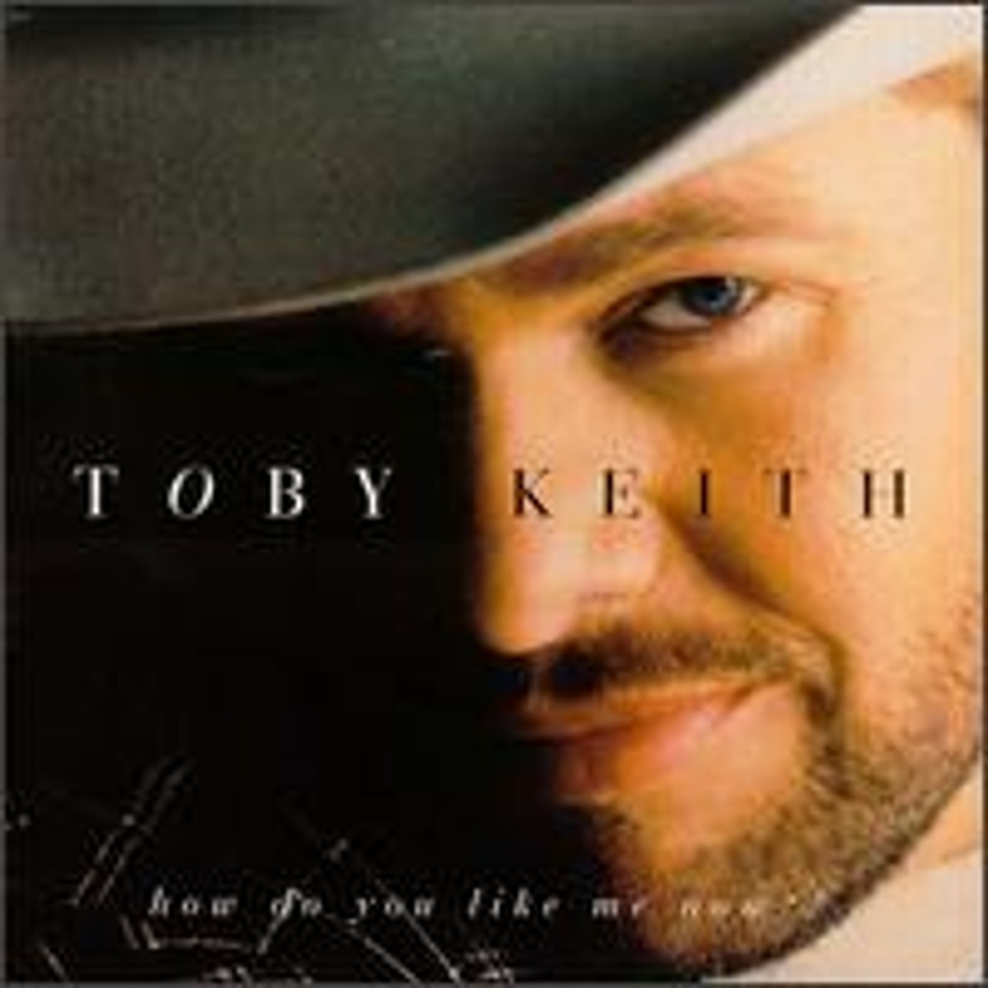 Pre-Owned How Do You Like Me Now?! (CD 0600445020924) by Toby Keith