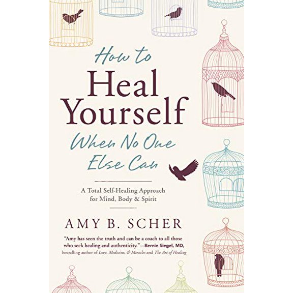 Pre-Owned How to Heal Yourself When No One Else Can: A Total Self-Healing Approach for Mind, Body, and Spirit (Paperback) 0738745545 9780738745541