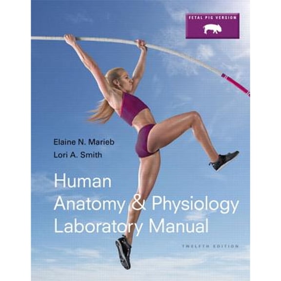 Pre-Owned Marieb & Hoehn Human Anatomy & Physiology Lab Manuals: Human Anatomy & Physiology Laboratory Manual, Fetal Pig Version (Paperback)