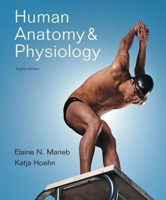 Pre-Owned Human Anatomy &amp; Physiology by Elaine N. Marieb; Katja Hoehn Hardcover Textbooks English