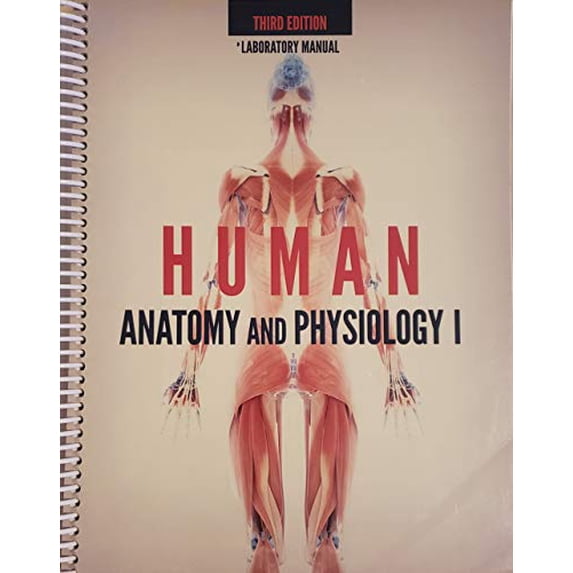 Pre-Owned Human Anatomy and Physiology 1 (3rd edition Laboratory Manual) Paperback