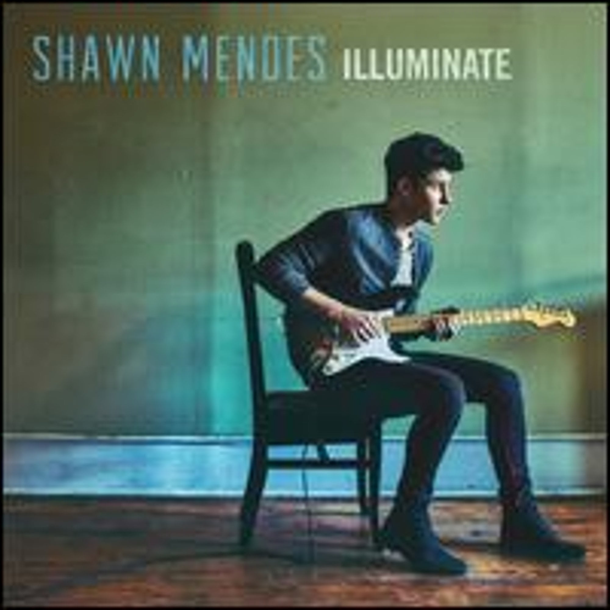 Shawn Mendes Music Wall: Vinyl Records, CDs & Cassettes | Walmart