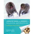 thumbnail image 1 of Pre-Owned Laboratory Manual and Workbook for Biological Anthropology: Engaging with Human Evolution (Unknown) 0393912914 9780393912913, 1 of 1