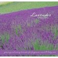 thumbnail image 1 of Pre-Owned Lavender: Growing & Using Lavender for Fragrance, Mood & Body Care (Hardcover) 1933317787 9781933317786, 1 of 1