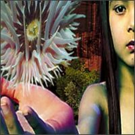 Pre-Owned Lifeforms (CD 0017046611329) by The Future Sound of London
