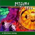 thumbnail image 1 of Pre-Owned Lifetime Away (CD 0785351003428) by Perfume Tree, 1 of 1