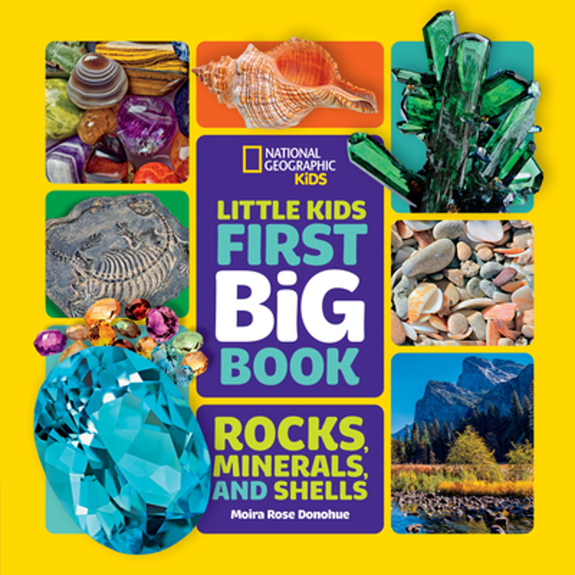 Pre-Owned National Geographic Little Kids First Big Book of Rocks, Minerals \u0026 Shells (Hardcover) 1426372221 9781426372223