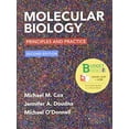 thumbnail image 1 of Pre-Owned Loose-leaf Version for Molecular Biology, 1 of 1