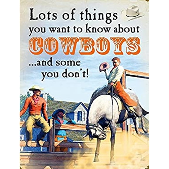 Lots of Things You Want to Know about Cowboys (Hardcover) 9781625880895