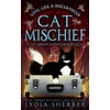 Pre-Owned Love, Lies, and Hocus Pocus Cat Mischief (Paperback) 1950267105 9781950267101