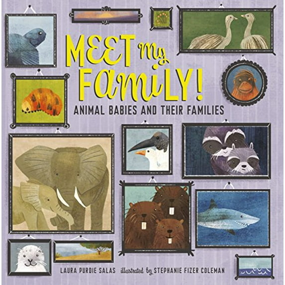 Pre-Owned Meet My Family!: Animal Babies and Their Families (Hardcover) 151242532X 9781512425321