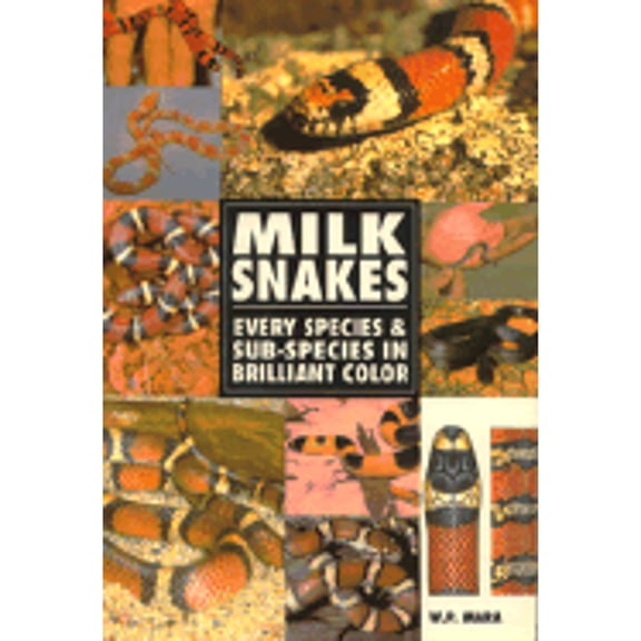 Pre-Owned Milk Snakes by Mara Paperback Travel & Nature English