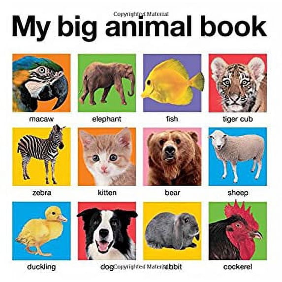 Pre-Owned My Big Animal Book 9780312511074