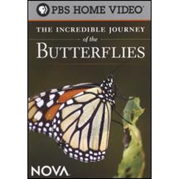 Pre-Owned NOVA: The Incredible Journey of the Butterflies (DVD 0783421431492) directed by Nick DePencier