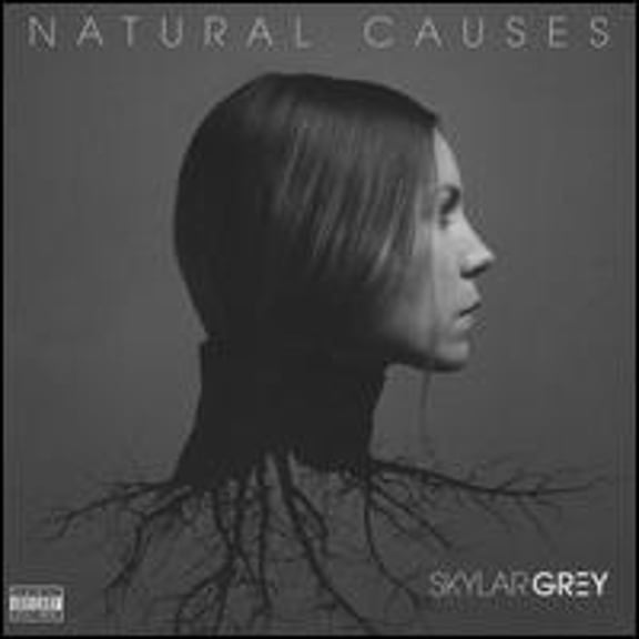 Pre-Owned Natural Causes (CD 0602557118667) by Skylar Grey