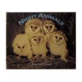 thumbnail image 1 of Pre-Owned Night Animals (Paperback) 059030058X 9780590300582, 1 of 1