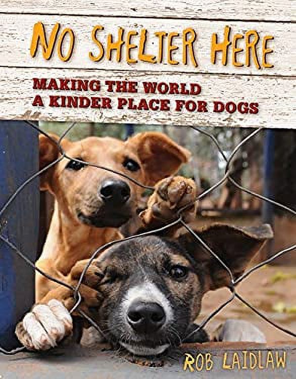 PreOwned No Shelter Here Making the World a Kinder Place for Dogs