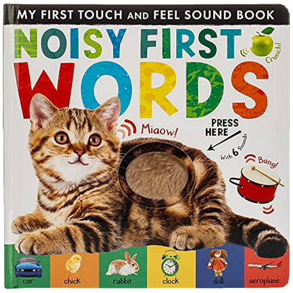 Pre-Owned Noisy First Words: My First Touch and Feel Sound Book (Board book) 168010666X 9781680106664