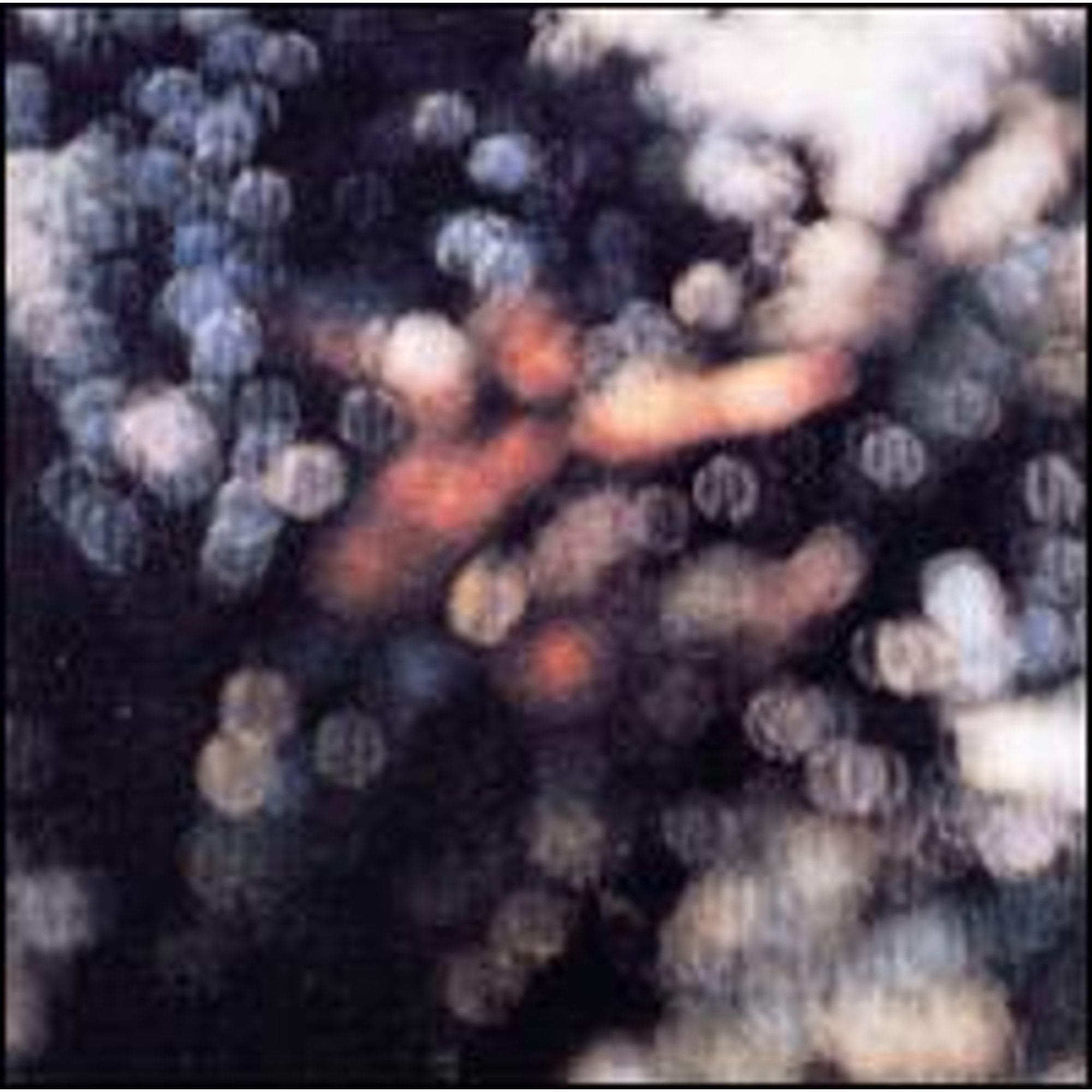 Pre-Owned Obscured by Clouds (CD 0077774638524) by Pink