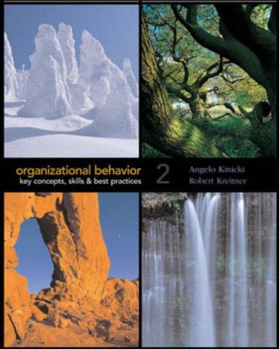 GUANGTUO Pre-Owned Organizational Behavior : Key Concepts, Skills and Best Practices 9780072829327