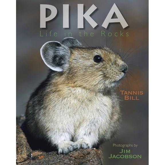 Pika : Life in the Rocks