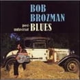 thumbnail image 1 of Pre-Owned Post-Industrial Blues (CD 0710347113324) by Bob Brozman, 1 of 1