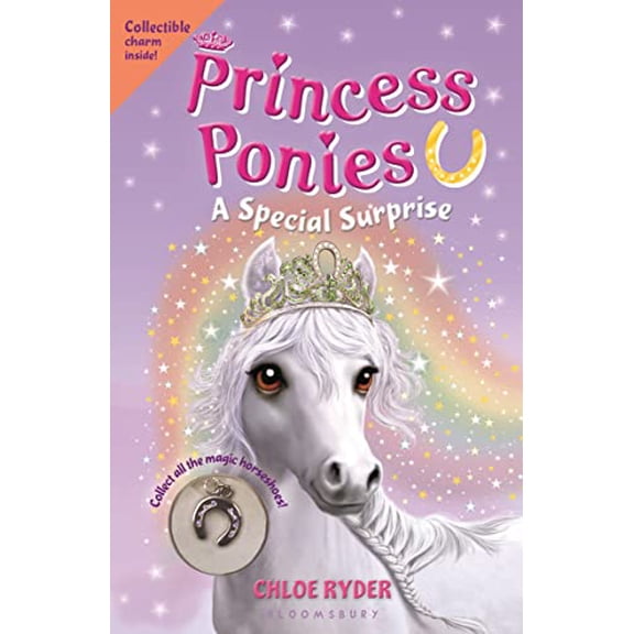 Pre-Owned Princess Ponies 7: A Special Surprise (Paperback) 1619635658 9781619635654