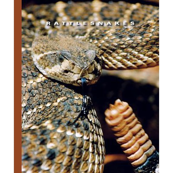 Pre-Owned Rattlesnakes (Library Binding) 1592965490 9781592965496