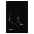 thumbnail image 1 of Pre-Owned Raw Anyone (Paperback) by Alexandra Mattraw, 1 of 1