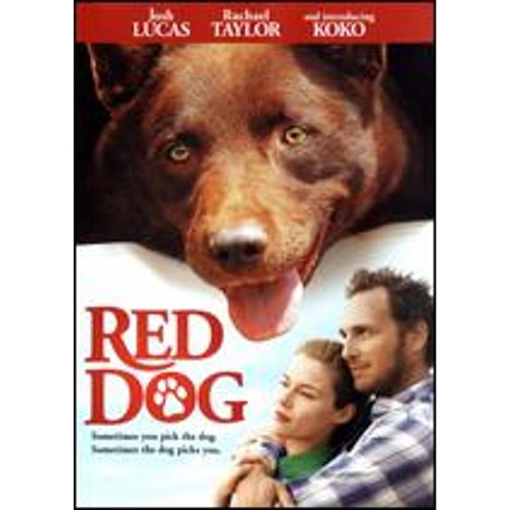 Pre-Owned Red Dog DVD, Directed by Kriv Stenders, Children's/Family