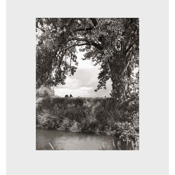 Robert Adams: Cottonwoods, (Hardcover)