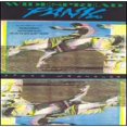 thumbnail image 1 of Pre-Owned Space Wrangler (CD 0614223214429) by Widespread Panic, 1 of 1
