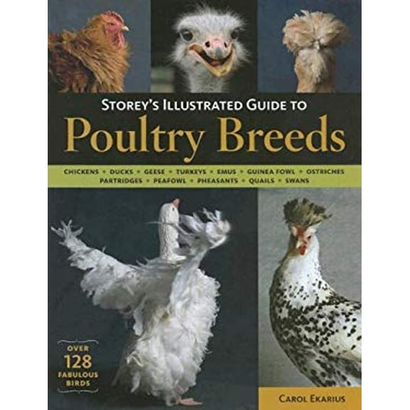 Pre-Owned Storey's Illustrated Guide to Poultry Breeds: Chickens, Ducks, Geese, Turkeys, Emus, Guinea Fowl, Ostriches, Partridges, Peafowl, Pheasants, Quails, ... (Hardcover) 1580176682 9781580176682