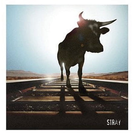 Pre-Owned - Stray