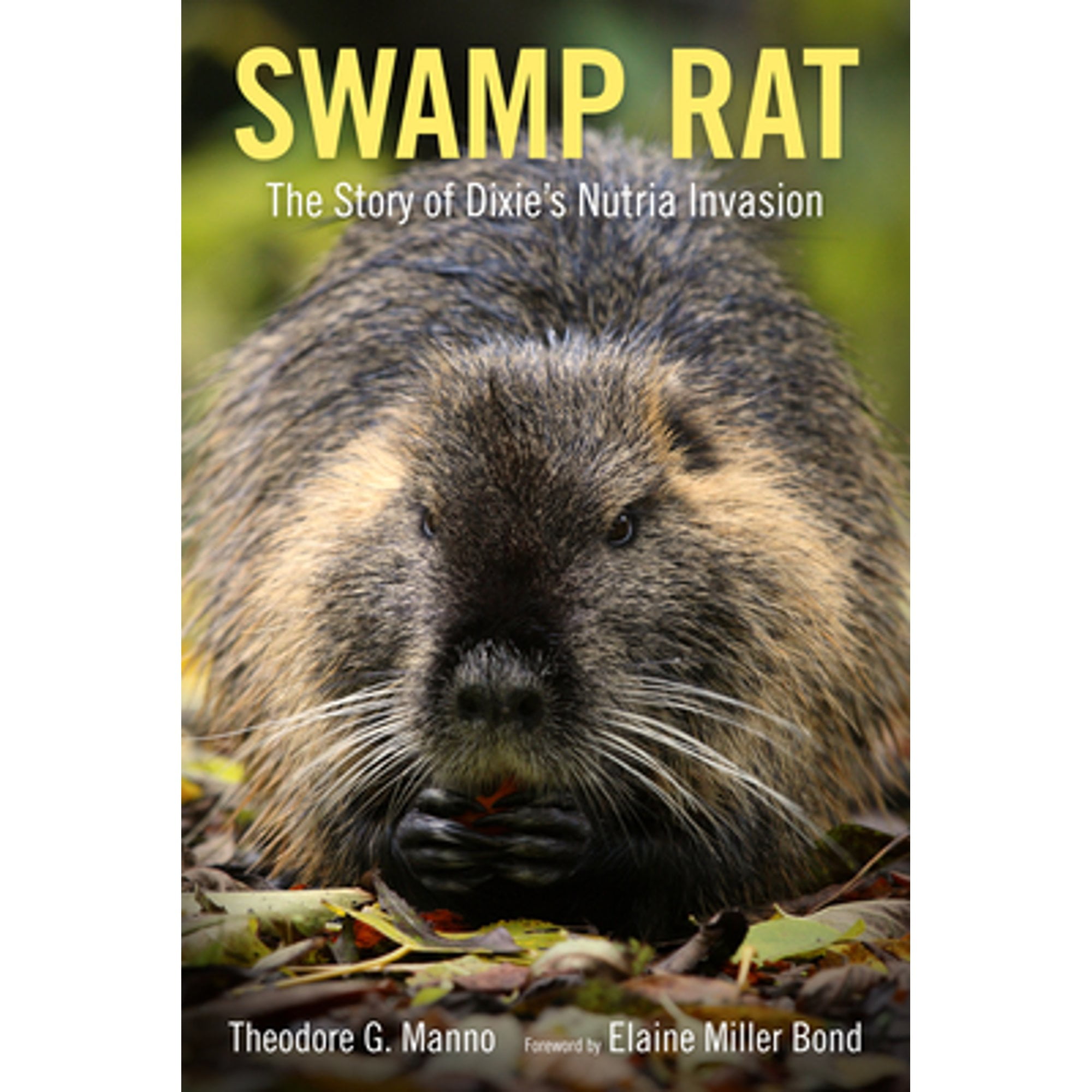 Swamp rat deals