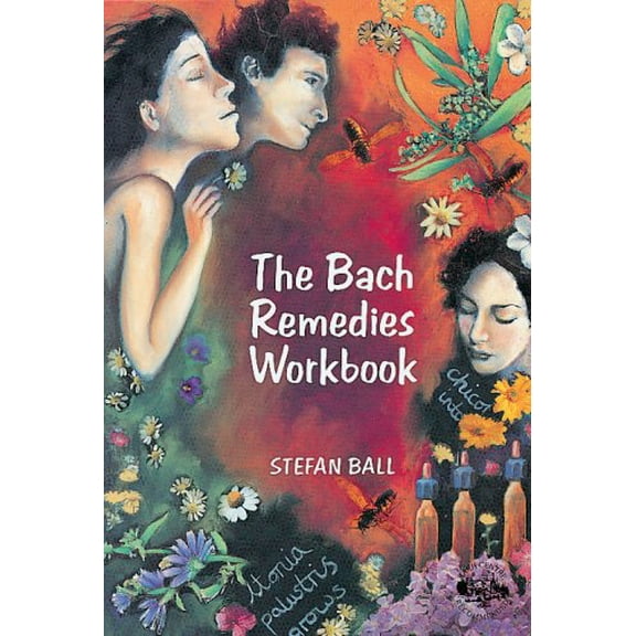 Pre-Owned The Bach Remedies Workbook (Paperback) 0852073119 9780852073117