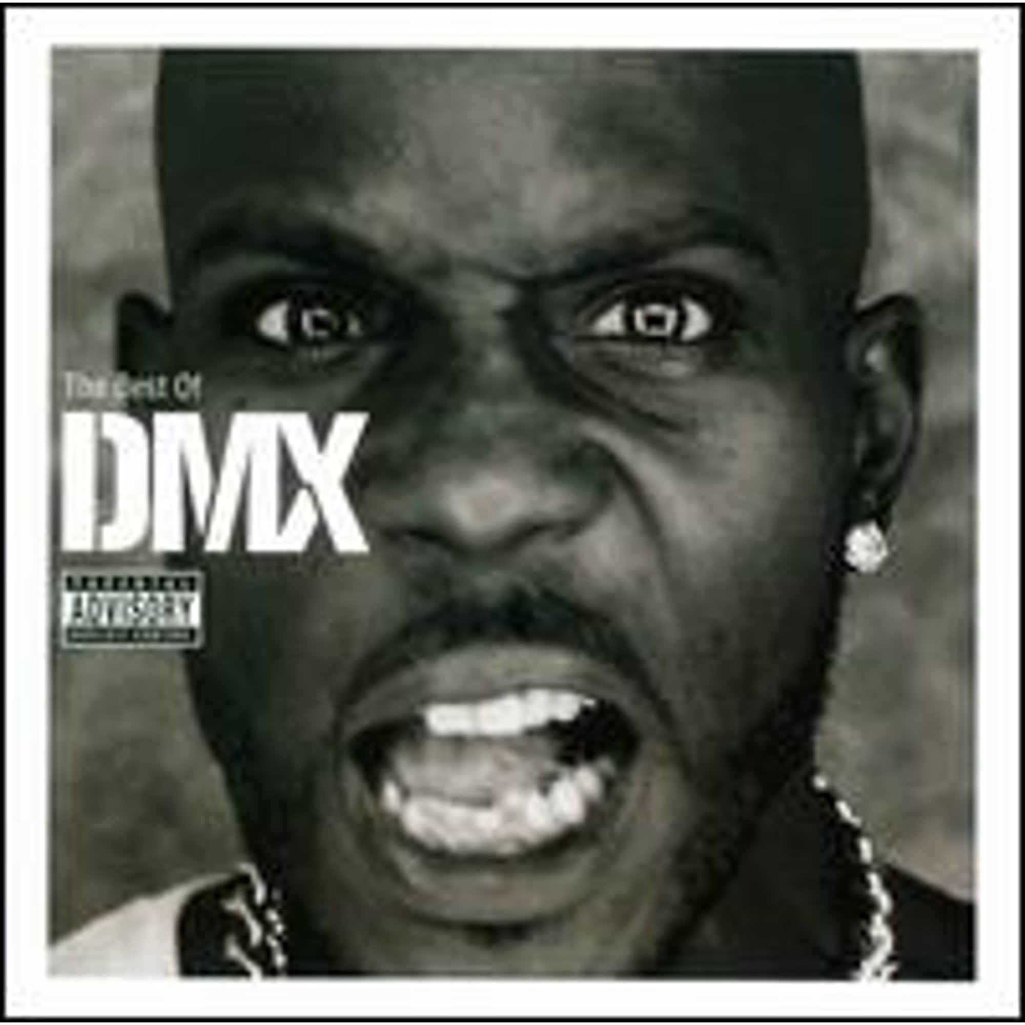 Pre-Owned The Best of DMX (CD 0602527272399) by DMX - Walmart.com