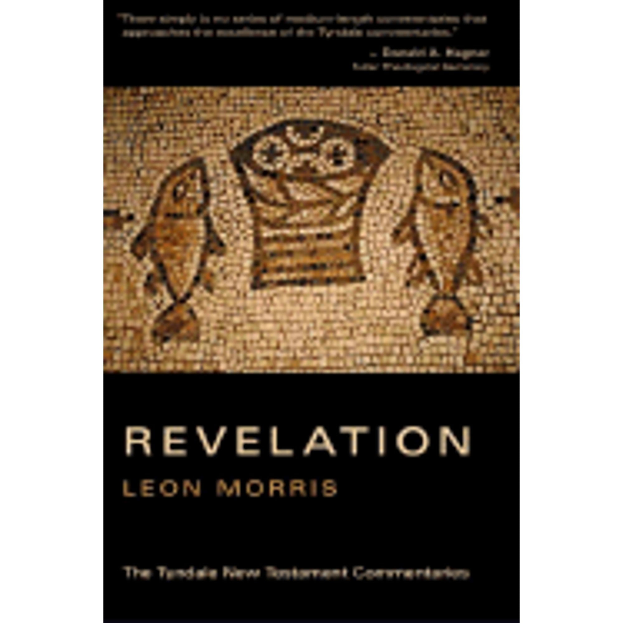 Pre-Owned The Book of Revelation: An Introduction and Commentary (Paperback 9780802802736) by Canon Leon Morris