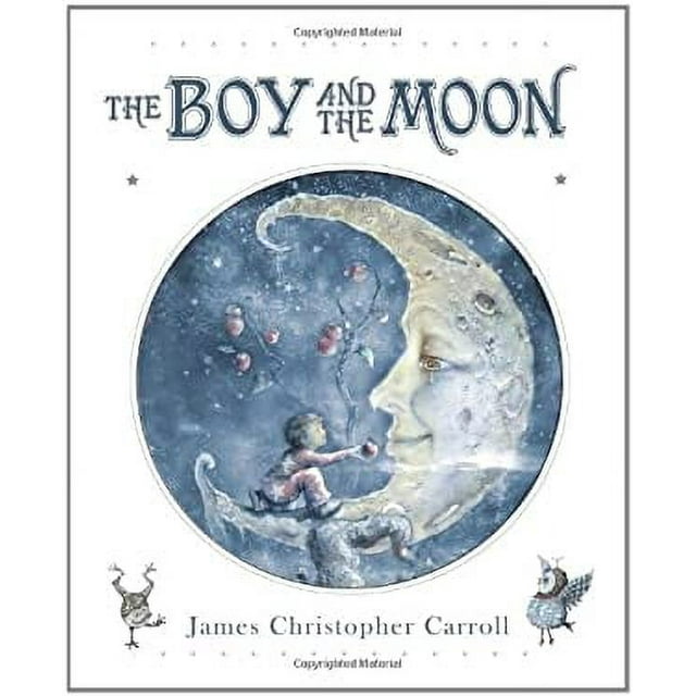 Pre-Owned The Boy and the Moon 9781585365210