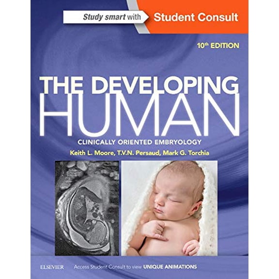 Pre-Owned The Developing Human: Clinically Oriented Embryology (Paperback) 0323313388 9780323313384