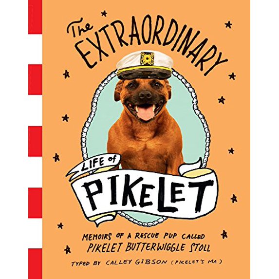 Pre-Owned The Extraordinary Life of Pikelet (Paperback) 0143783238 9780143783237