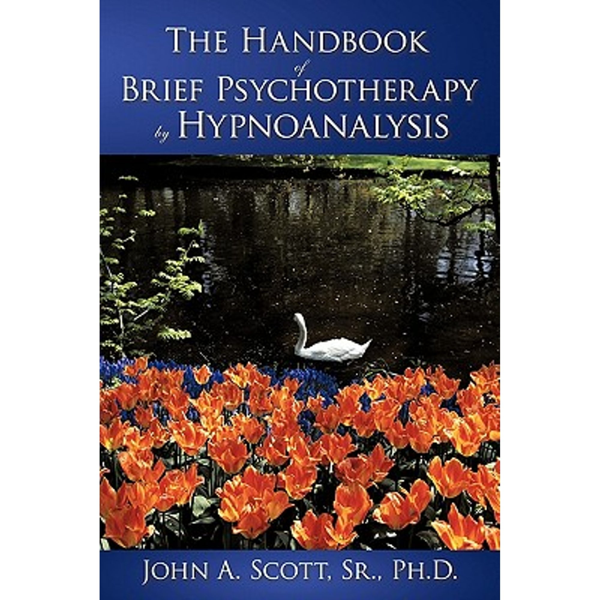 Pre-Owned The Handbook of Brief Psychotherapy by Hypnoanalysis ...