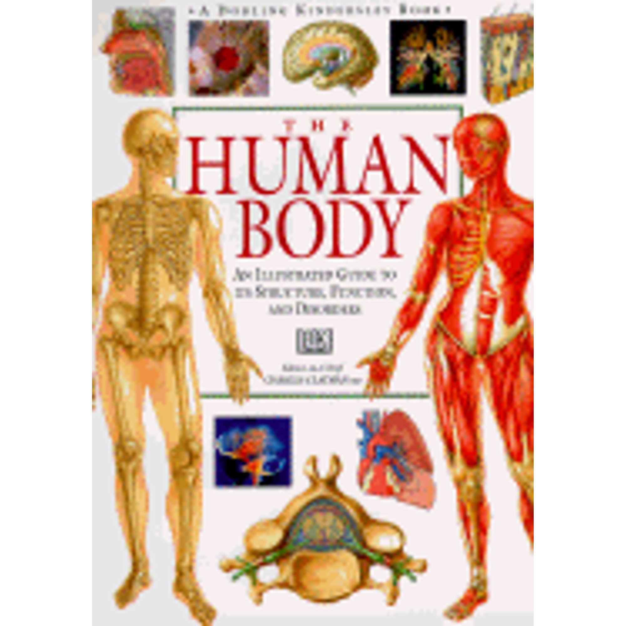 DK Complete Human Body: Visual Guide