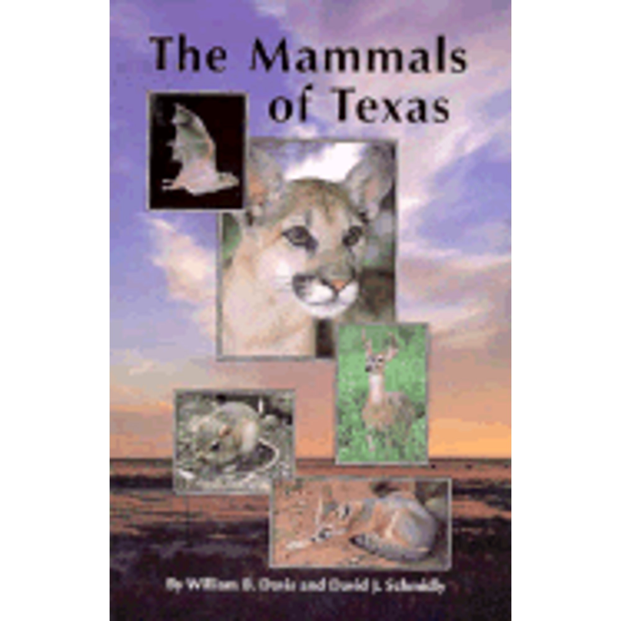 Pre-Owned The Mammals of Texas (Paperback 9781885696007) by William B Davis, David J Schmidly - image 1 of 1