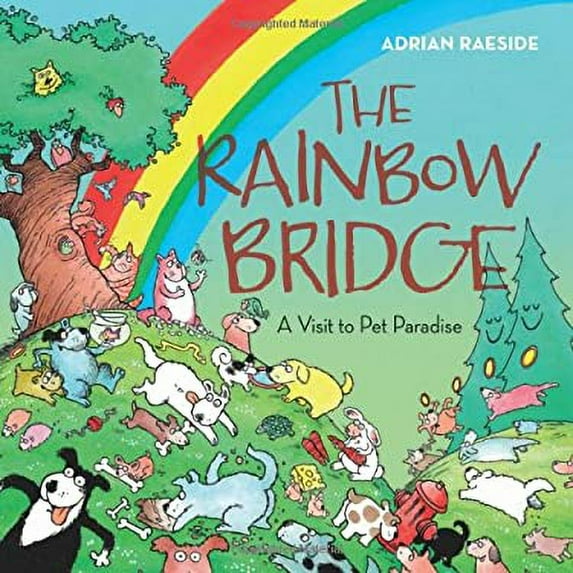 Pre-Owned The Rainbow Bridge : A Visit to Pet Paradise 9781550175844