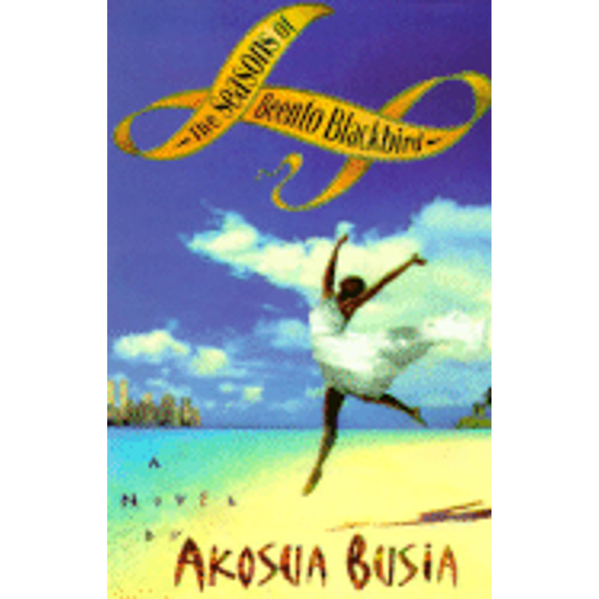 Pre-Owned The Seasons of Beento Blackbird (Hardcover 9780316114950) by Akosua Busia - image 1 of 1