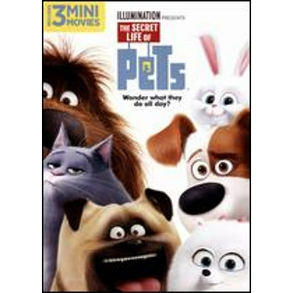 Pre-Owned The Secret Life of Pets (DVD 0025192317170) directed by Chris Renaud