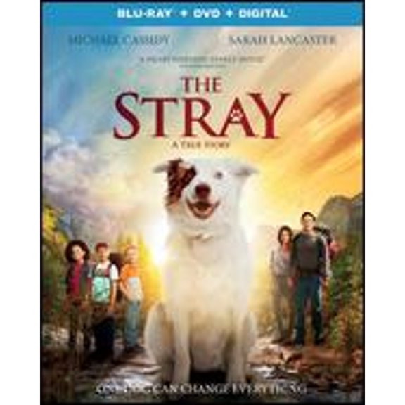 Pre-Owned The Stray [Blu-ray] (Blu-Ray 0191329045992) directed by Mitch Davis