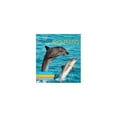 thumbnail image 1 of Pre-Owned The Wonder of Dolphins Paperback, 1 of 1