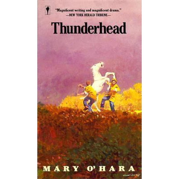 Pre-Owned Thunderhead by Mary O'Hara Paperback, Children's Books, English